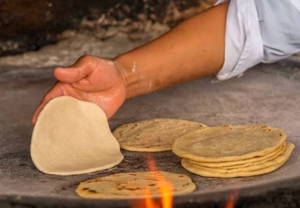 1 TORTILLA