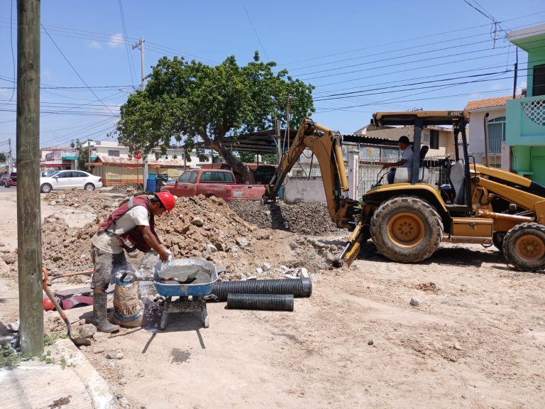 3 COMAPA
