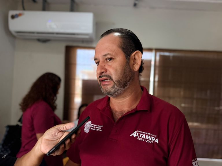 3 REPORTAR