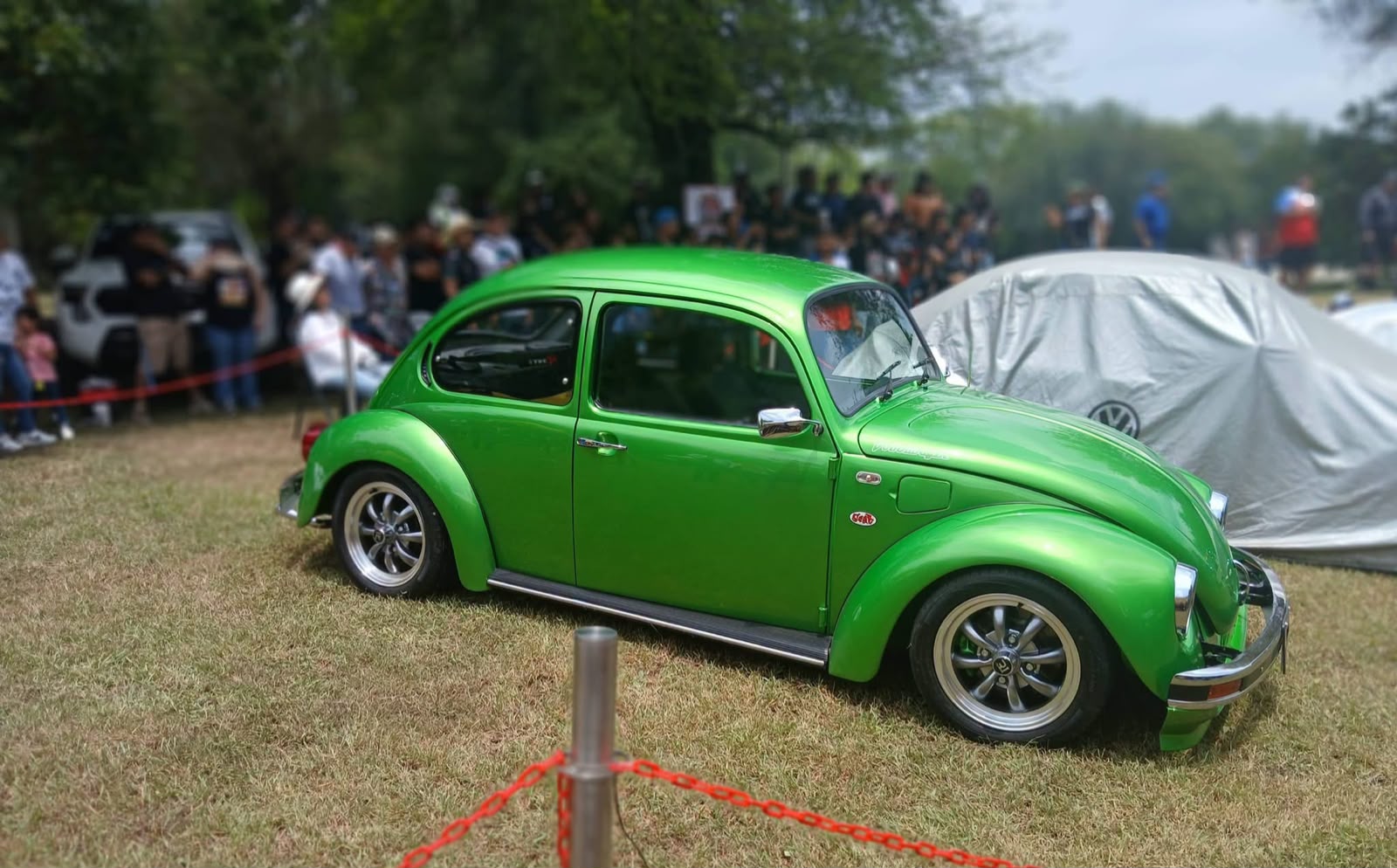 3 VINTAGE