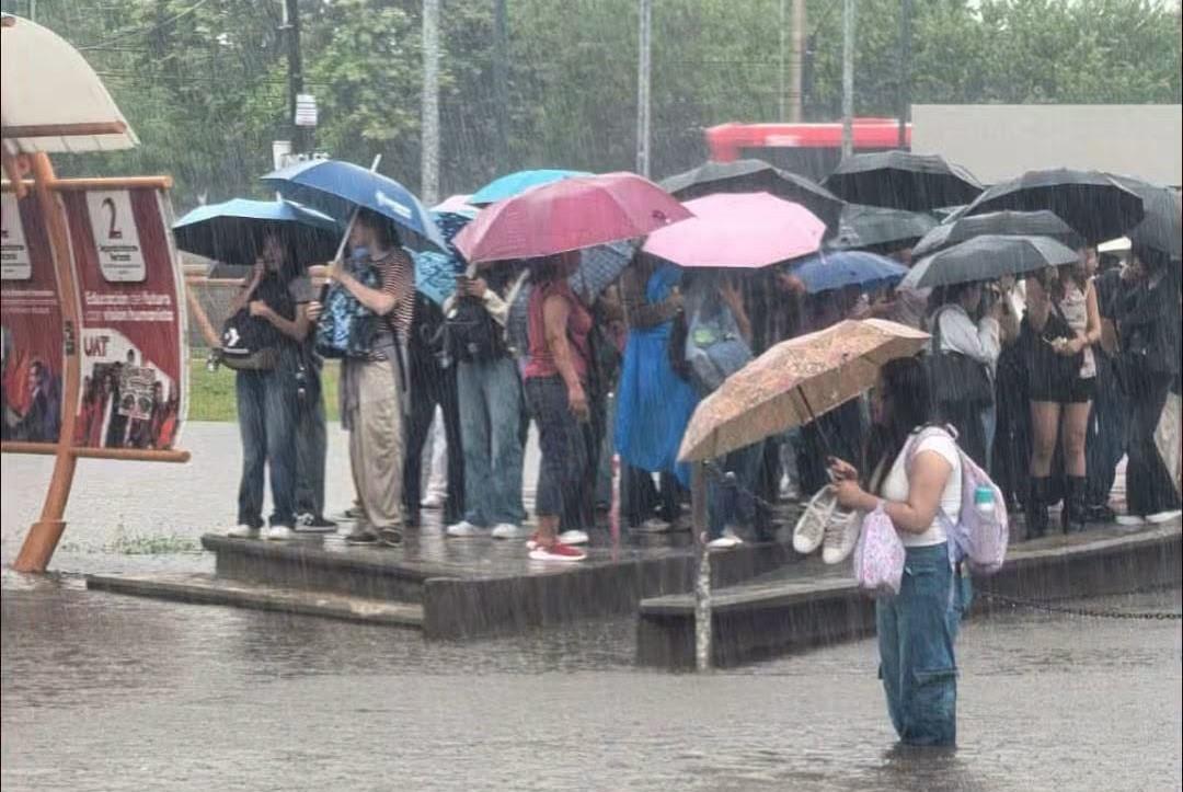 1 ATRAPADOS
