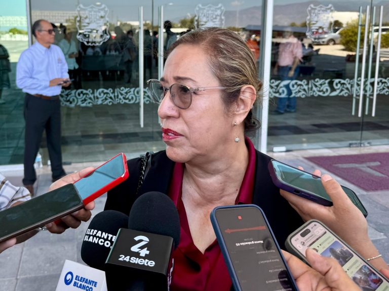 Guadalupe Gómez Núñez