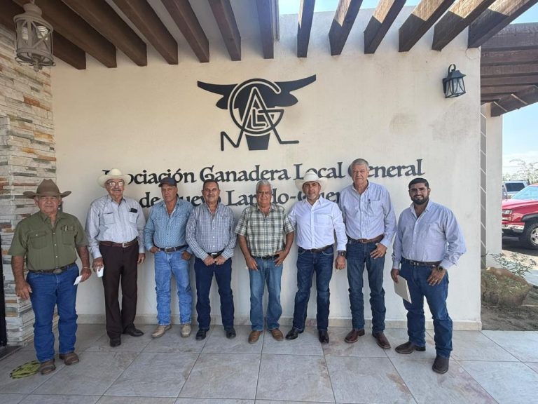3 GOBIERNO
