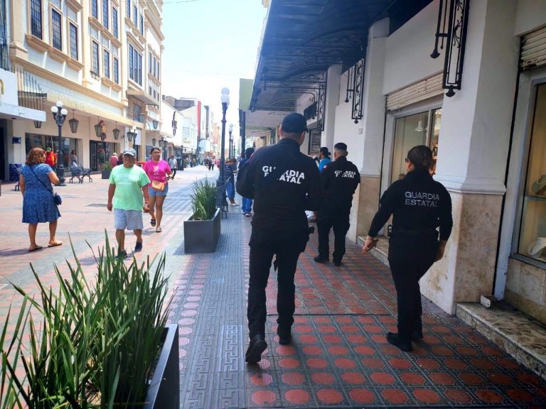 Guardia Estatal